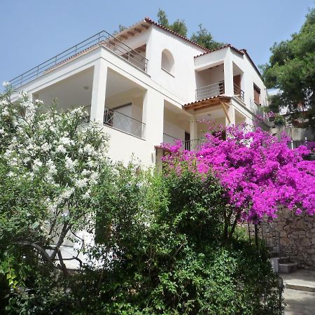 Votsi  Villa Iguana Votsi מראה חיצוני תמונה